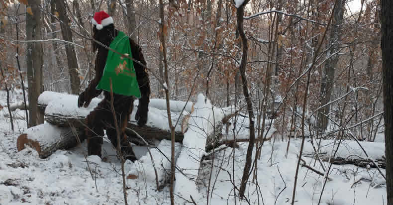 Christmas Time at Star Lake in Minnesota.