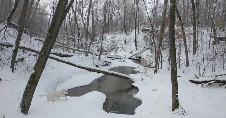 Enjoy a Minnesota Winter at Star Lake